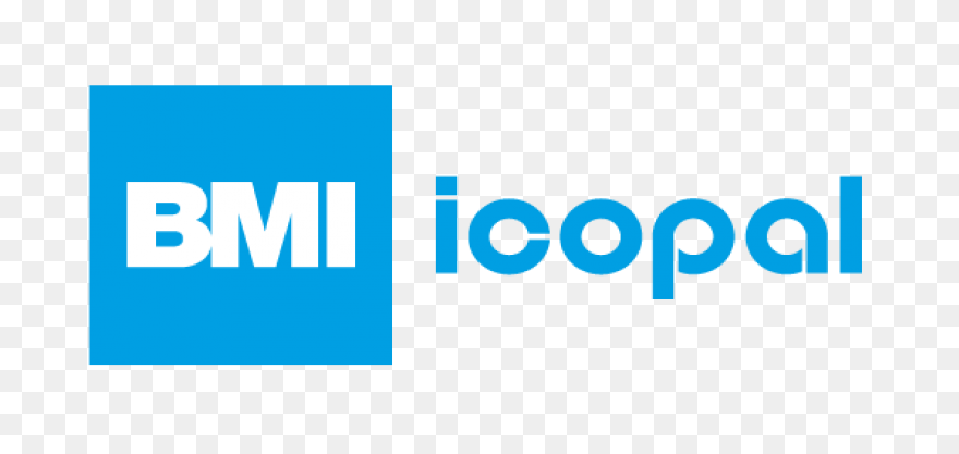 BMI